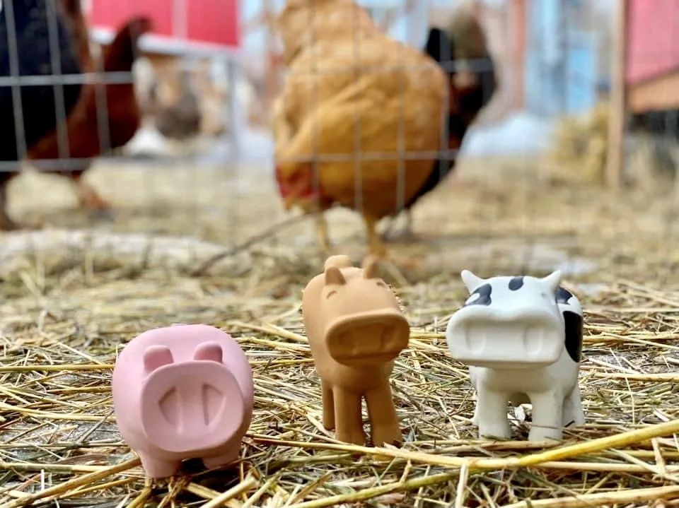 Barnyard Bath Pals - Farm Themed Set/3
