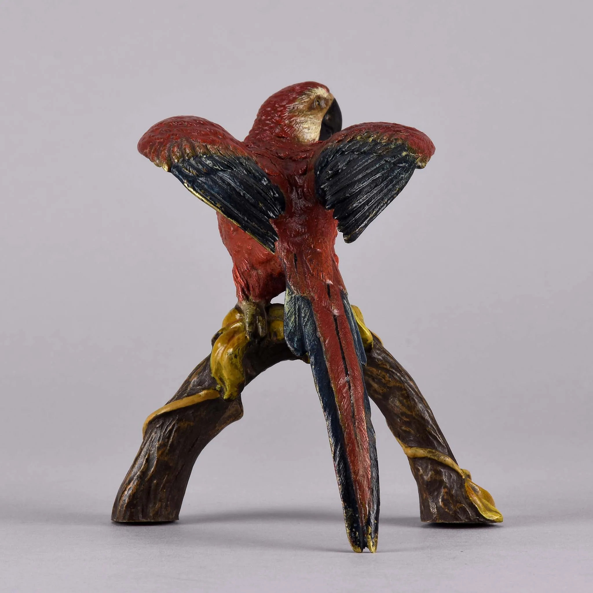 "Macaw on a Branch" by Franz Bergman