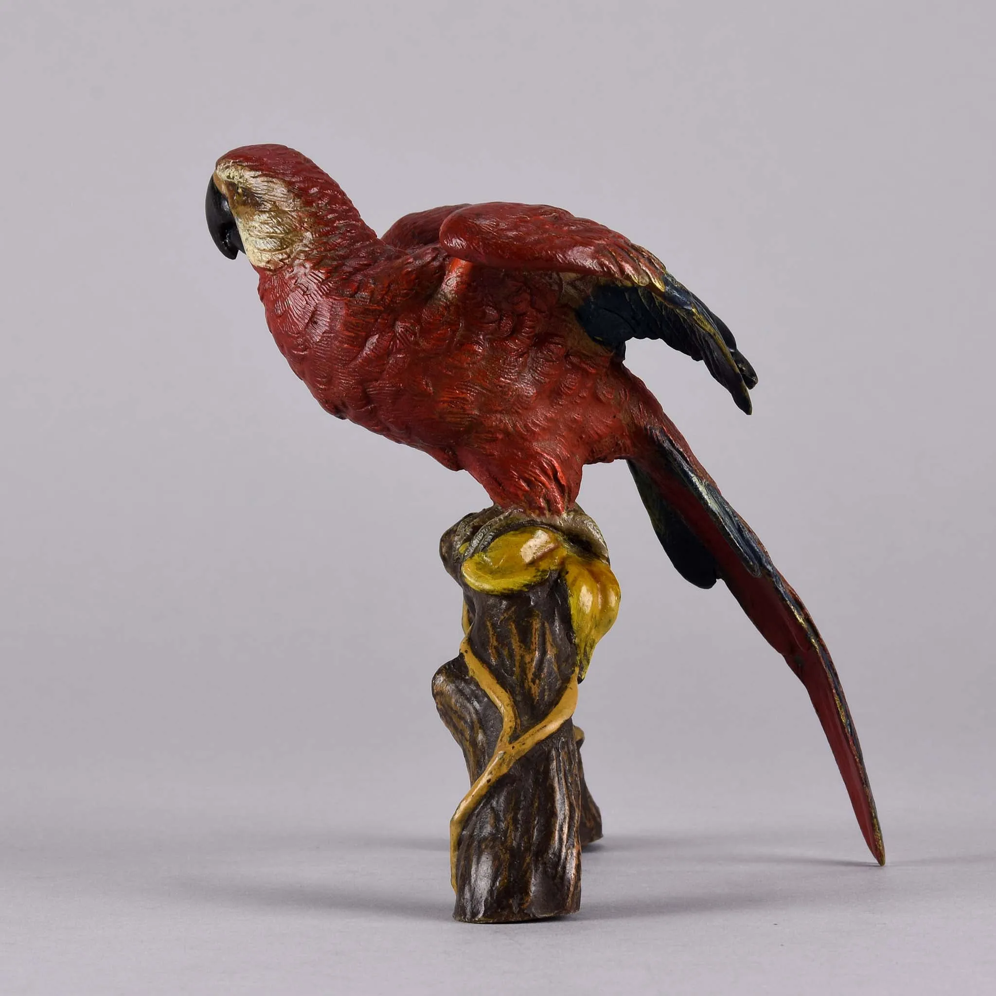 "Macaw on a Branch" by Franz Bergman