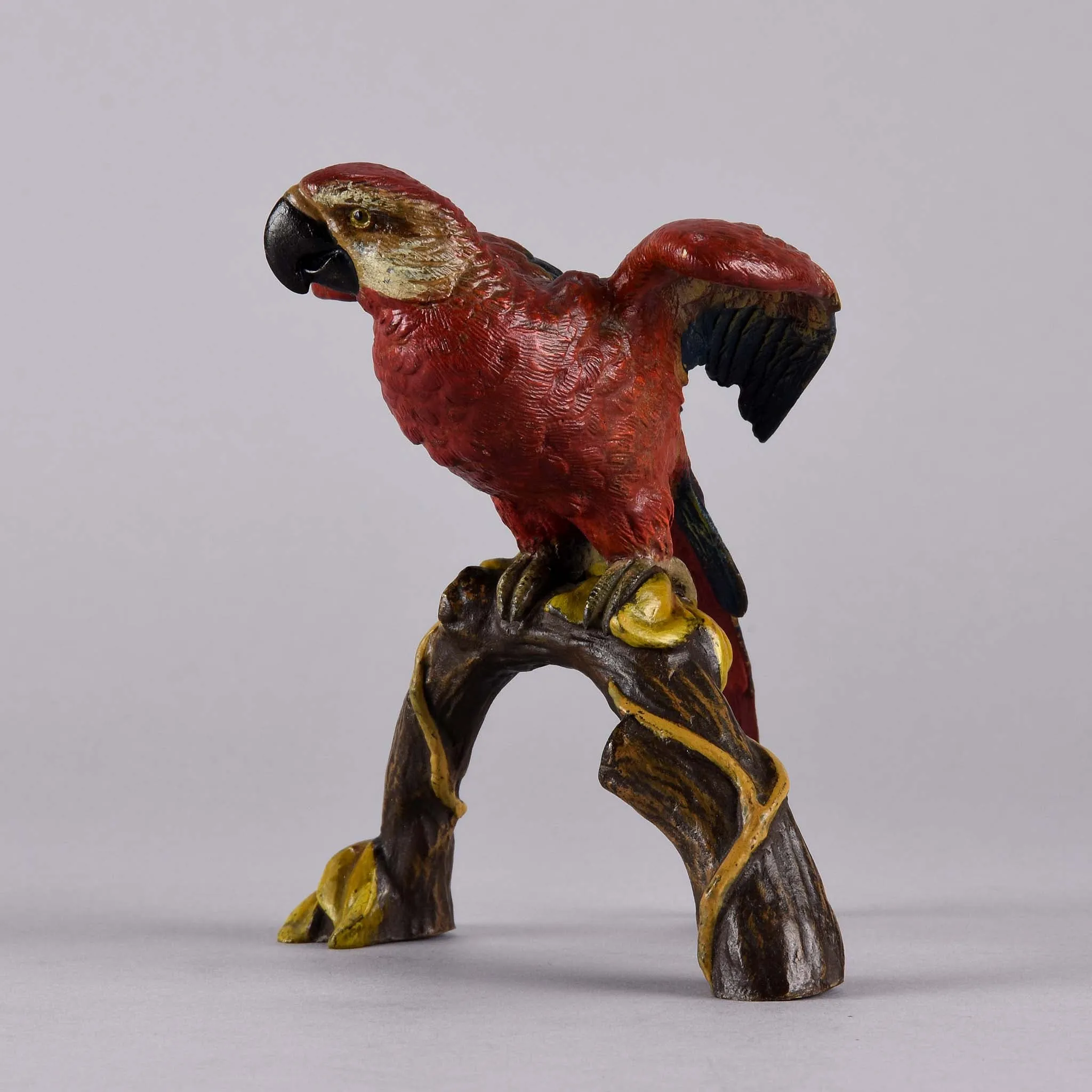 "Macaw on a Branch" by Franz Bergman
