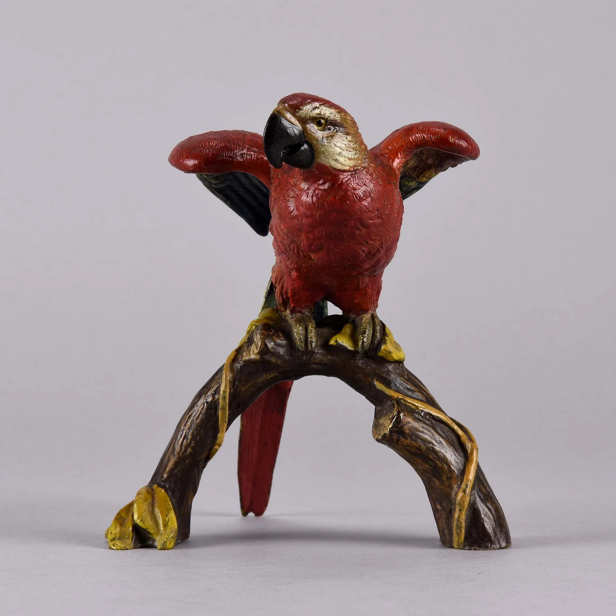 "Macaw on a Branch" by Franz Bergman