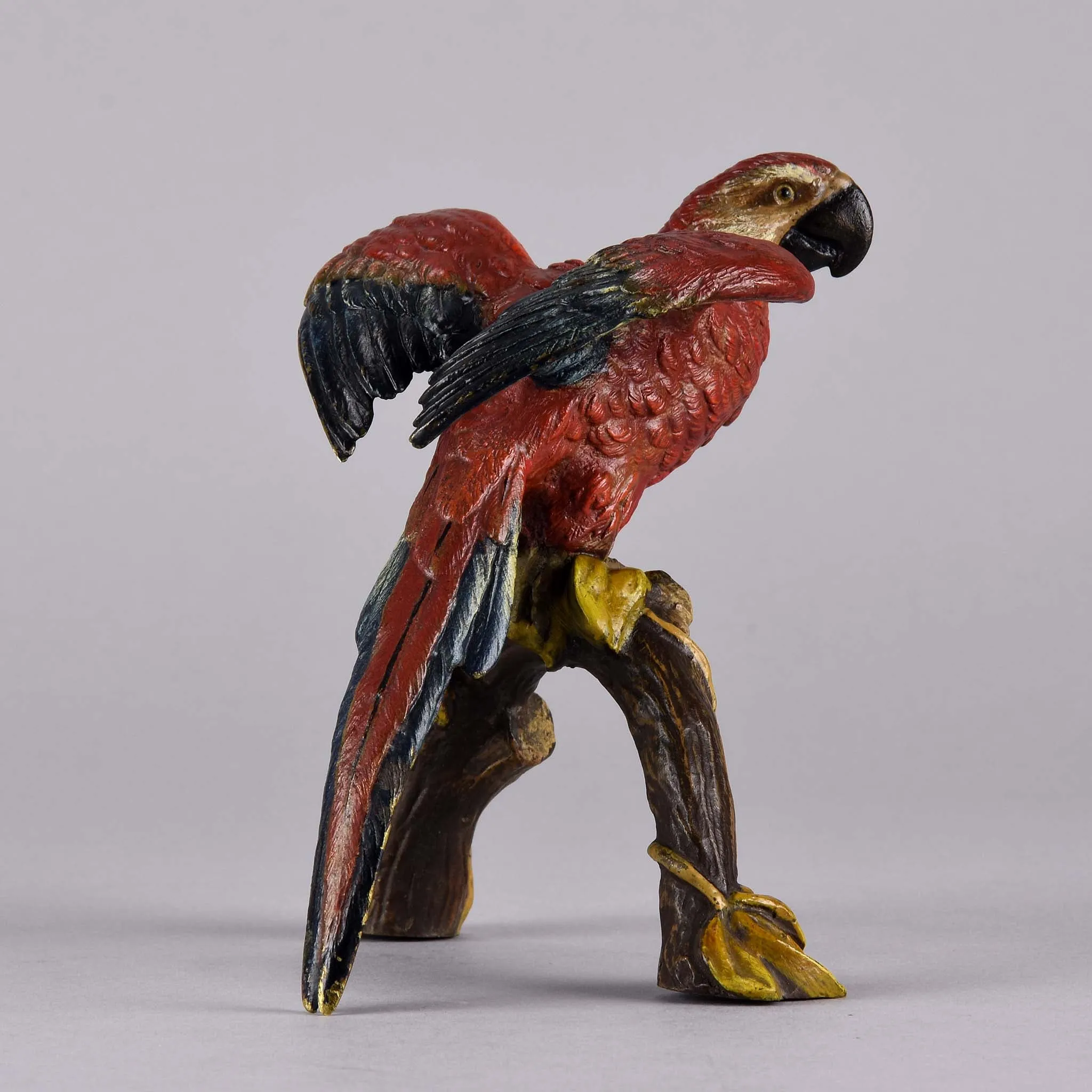 "Macaw on a Branch" by Franz Bergman