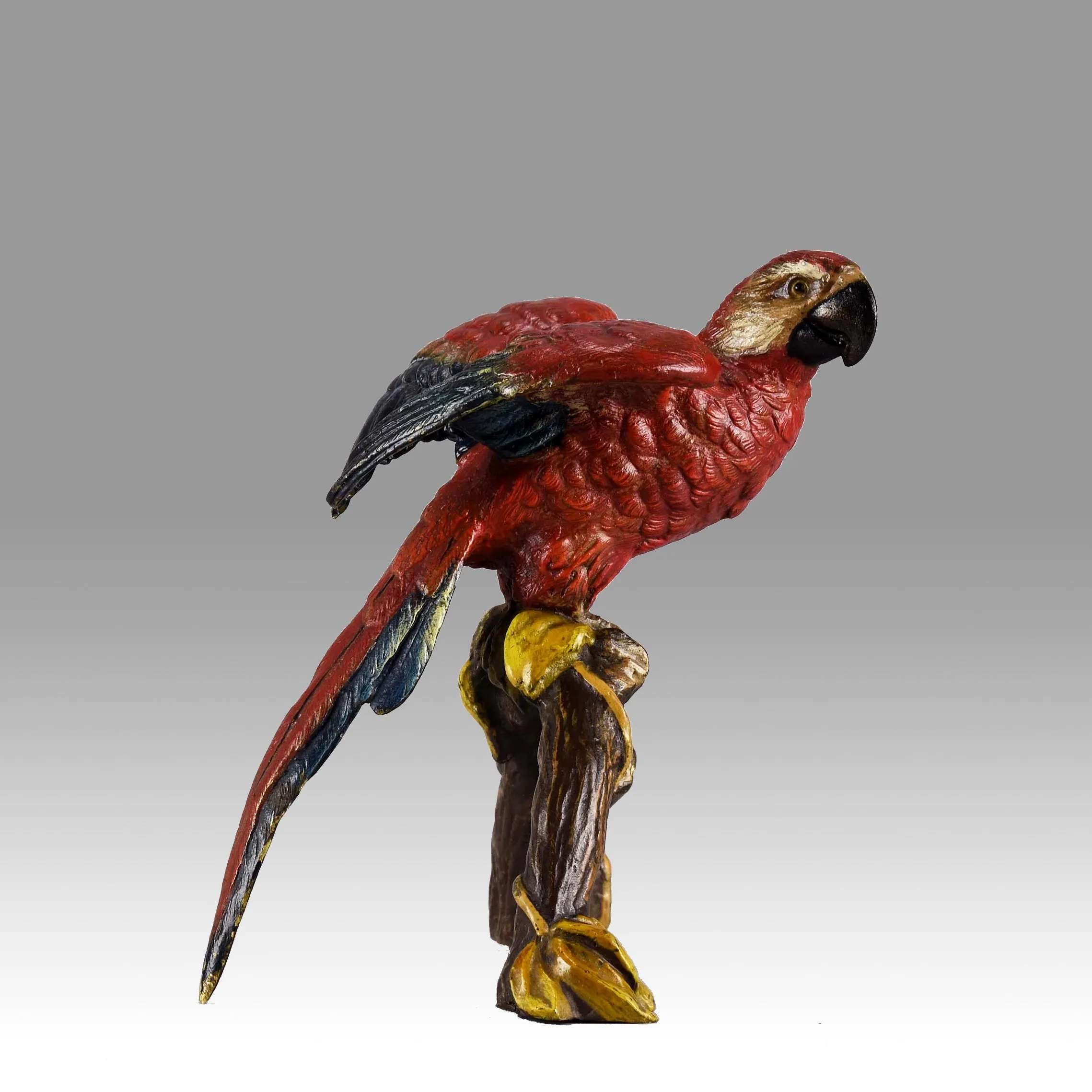 "Macaw on a Branch" by Franz Bergman