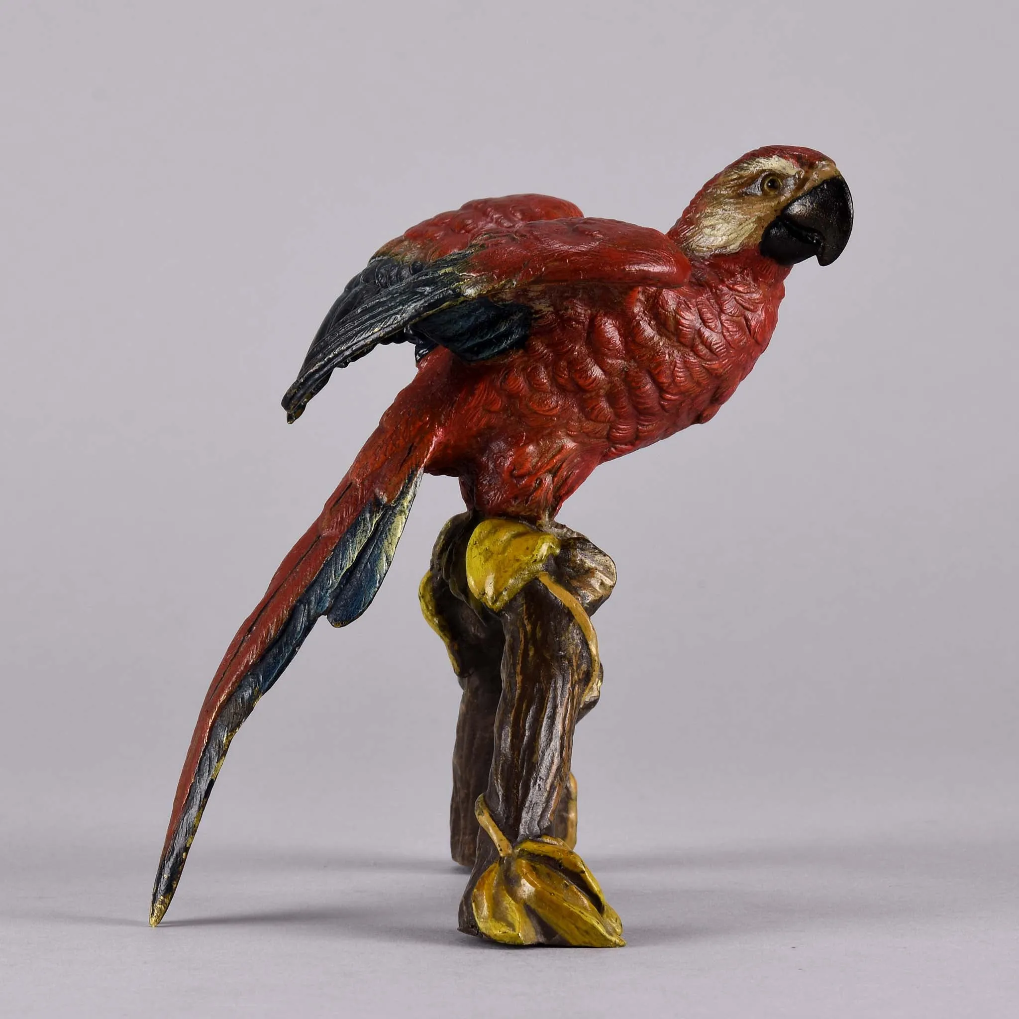 "Macaw on a Branch" by Franz Bergman