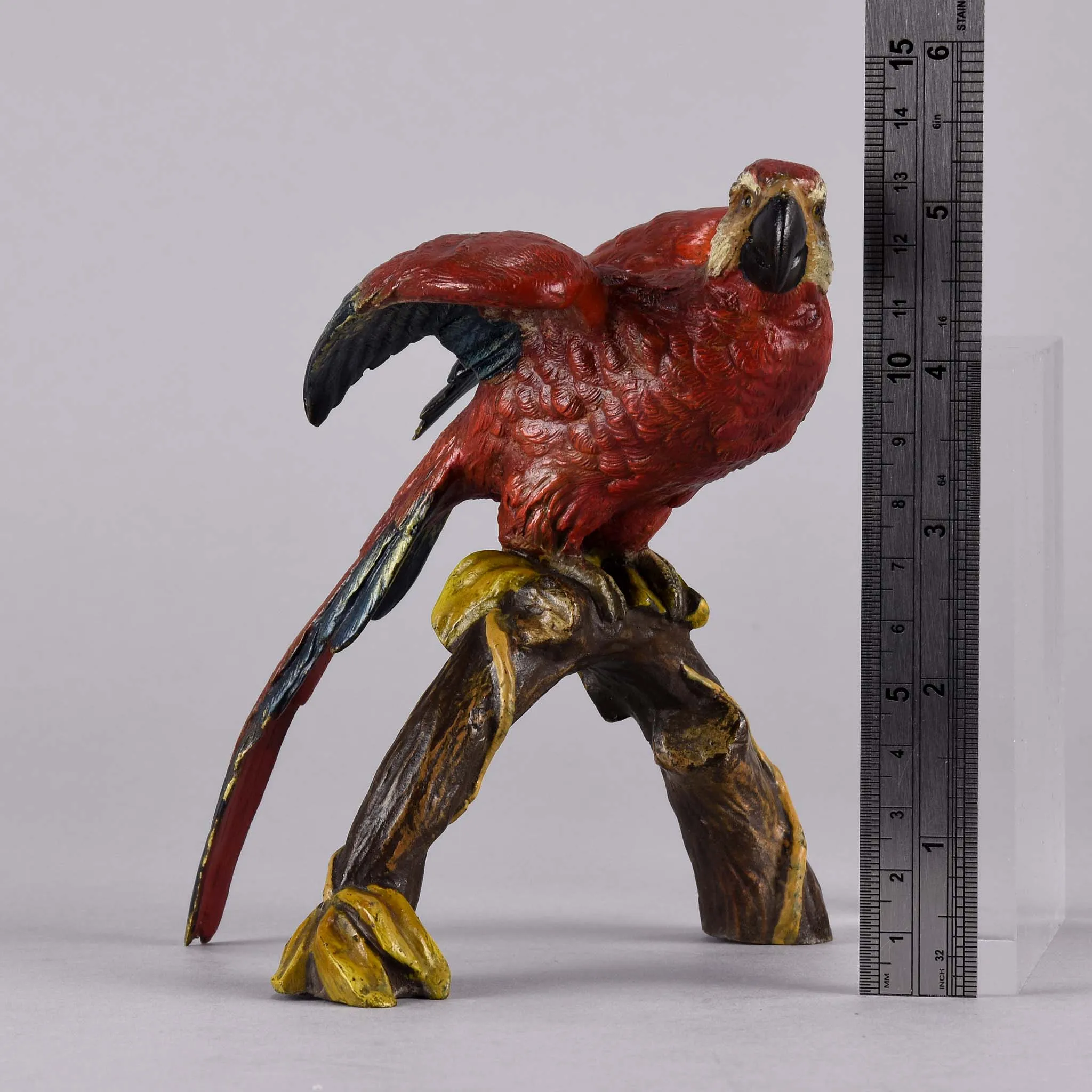 "Macaw on a Branch" by Franz Bergman