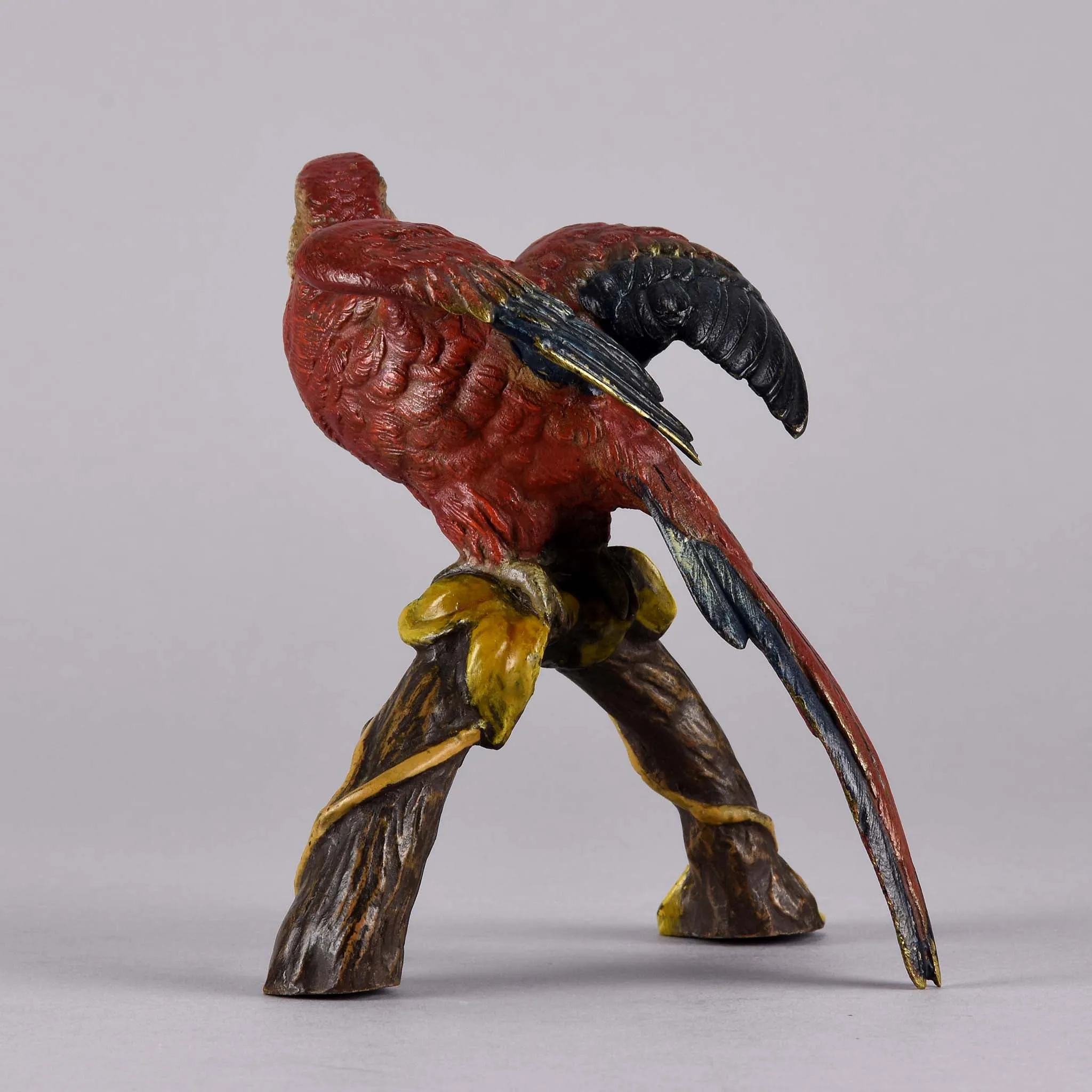 "Macaw on a Branch" by Franz Bergman