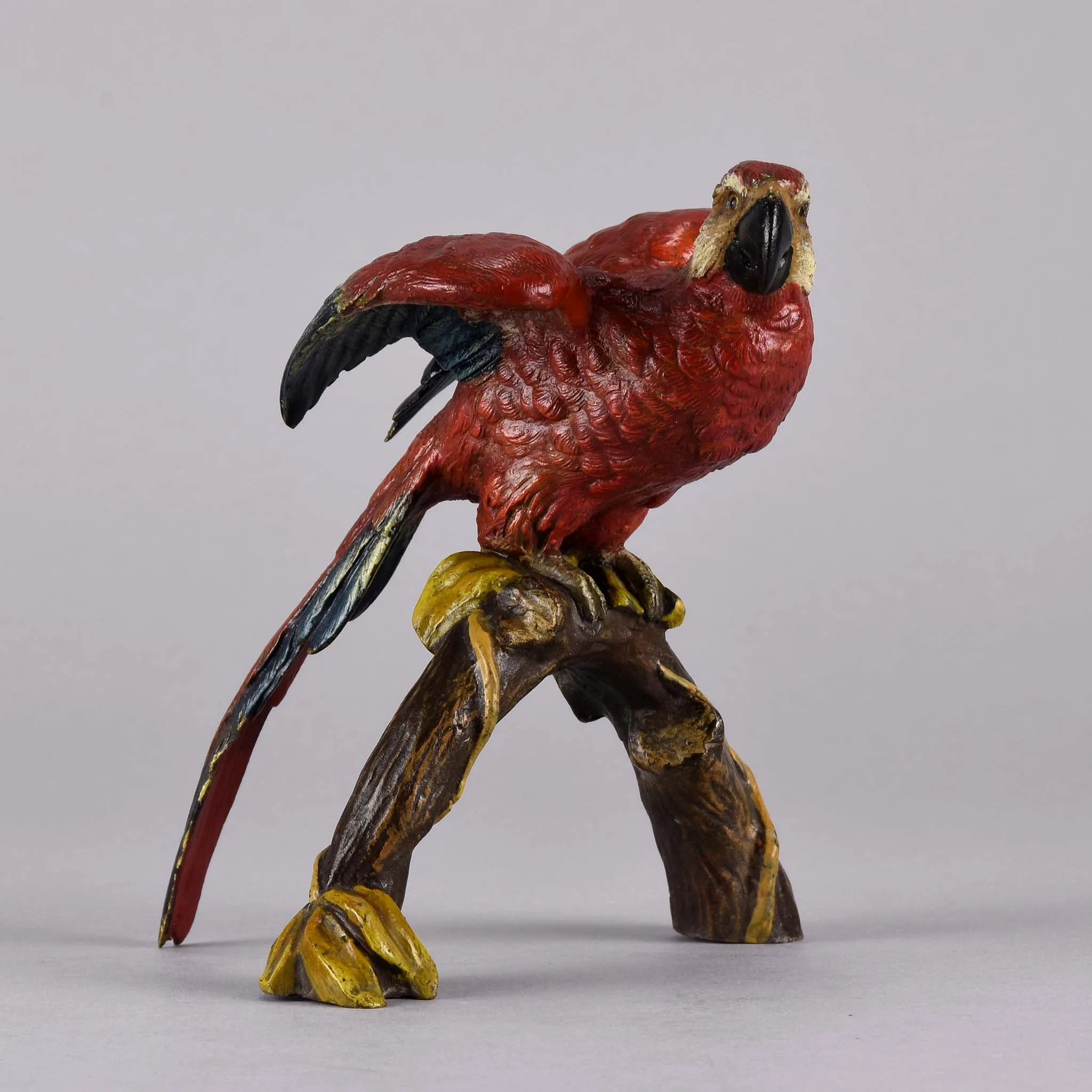"Macaw on a Branch" by Franz Bergman