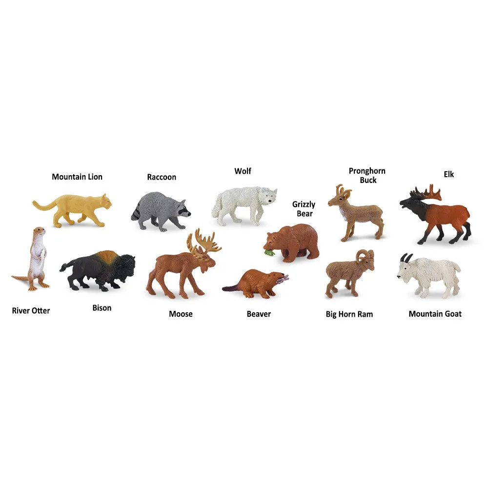 Wildlife Animals